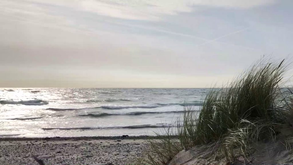 Anholt Gin – Stranden Anholt Gin - Stranden